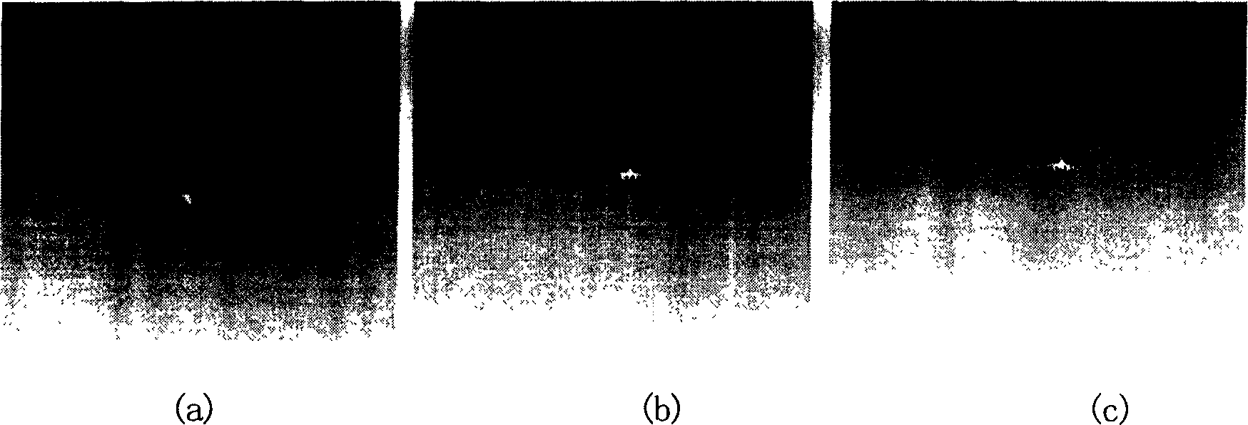 Infrared target identification method based on unchanged rotary morphology neural net