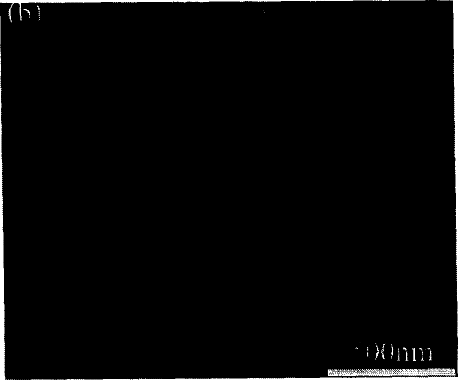 Preparation method of carbon clocd ferrolithium phosphate of lithium ion battery anode material