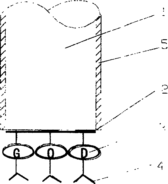 Enterotoxin bioelectrode and its preparation method