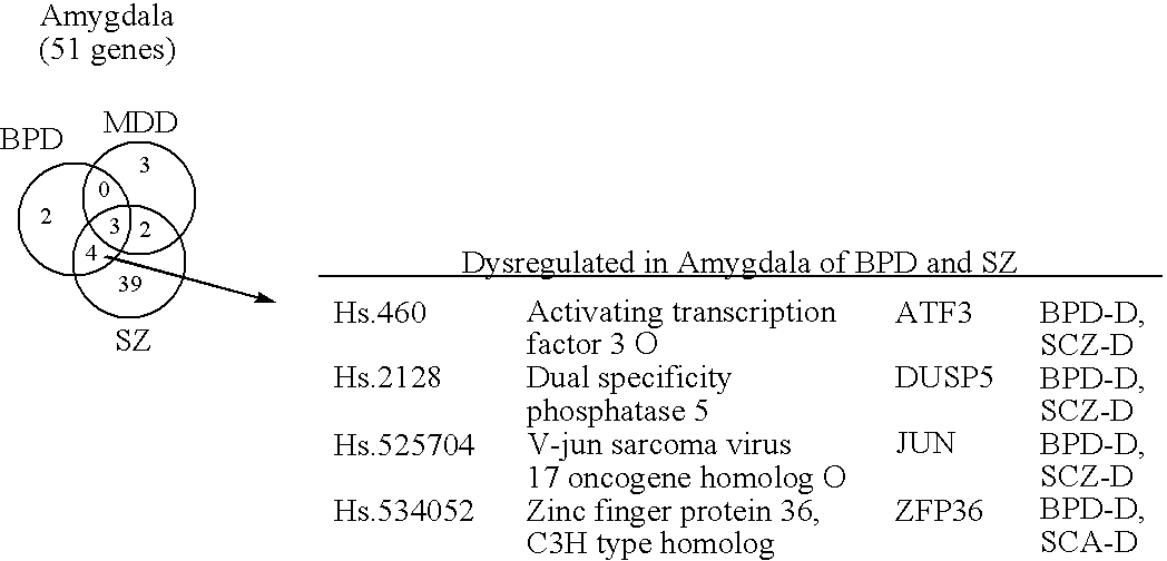 Compositions and methods for diagnosing and treating neuropsychiatric disorders