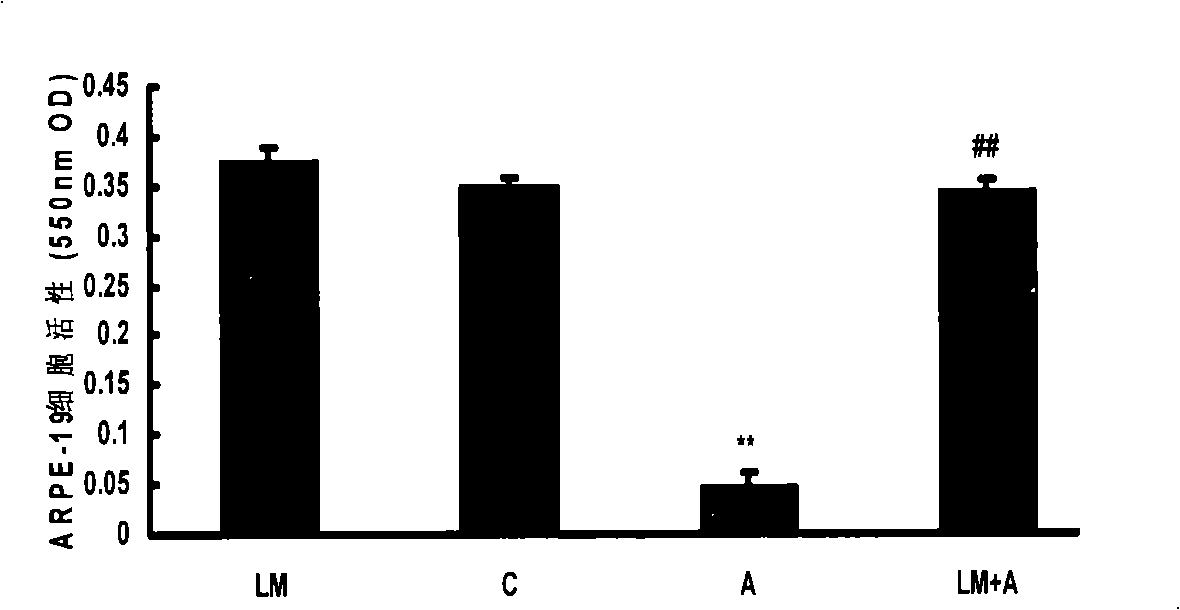 Use of lipoamide for preventing and treating age related macular degeneration