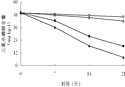 Dicofol degrading bacterium and soil restoration application