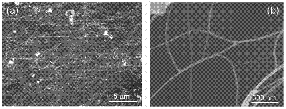 A kind of biaxially stretchable supercapacitor and preparation method thereof