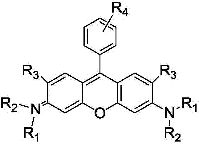 Method of rapidly preparing rhodamine dye with a plurality of active functional groups under mild condition