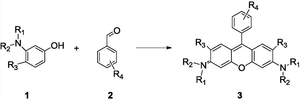 Method of rapidly preparing rhodamine dye with a plurality of active functional groups under mild condition