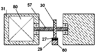 Automatic irrigation device