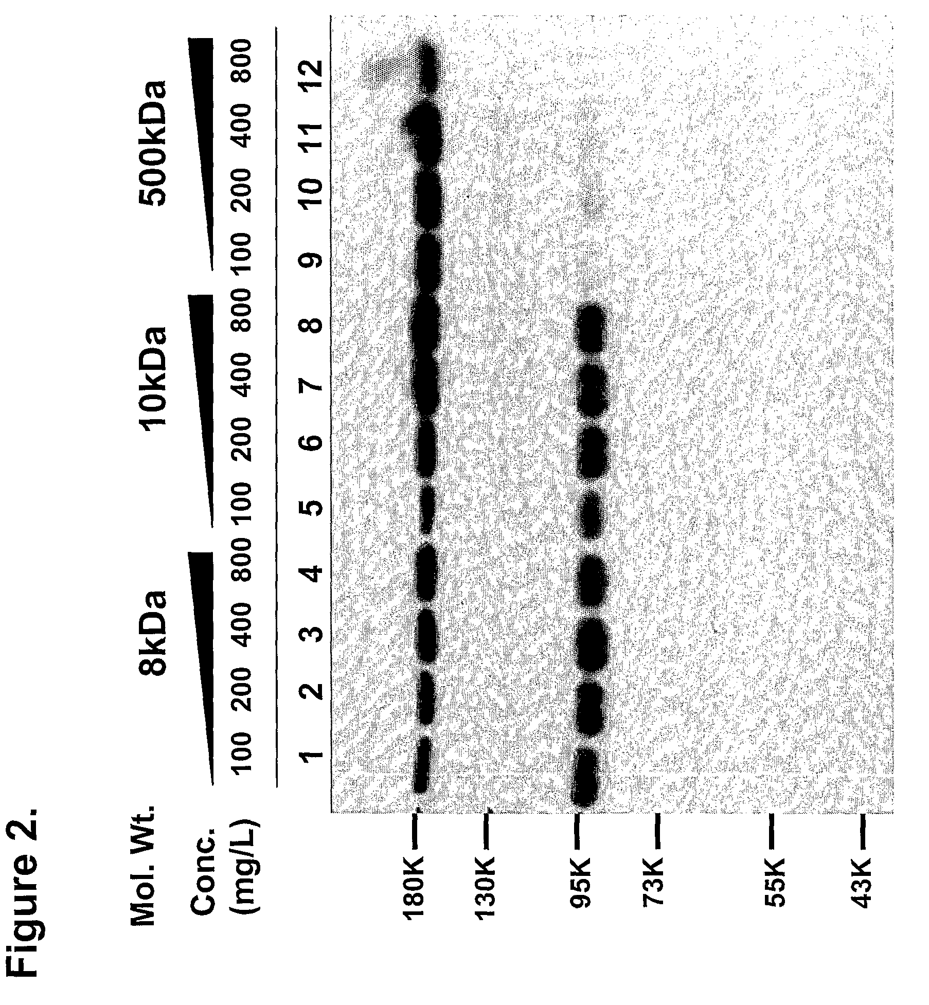 Process for producing and purifying factor viii and its derivatives