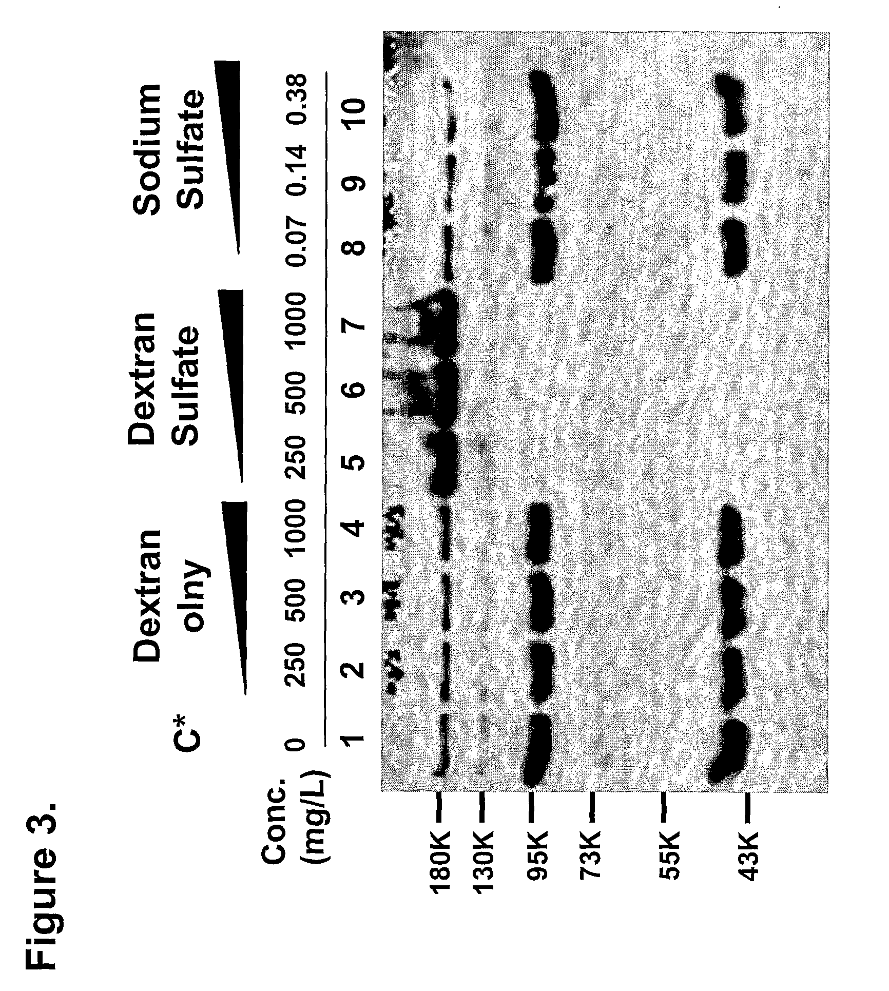 Process for producing and purifying factor viii and its derivatives