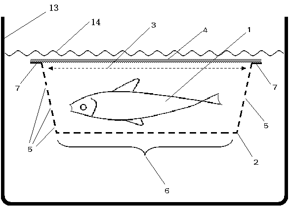 Resting method of wild organic fish and its commodity packaging Wild organic live fish