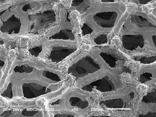 Preparation method and application of biomimetic superhydrophobic membrane based on copper foam