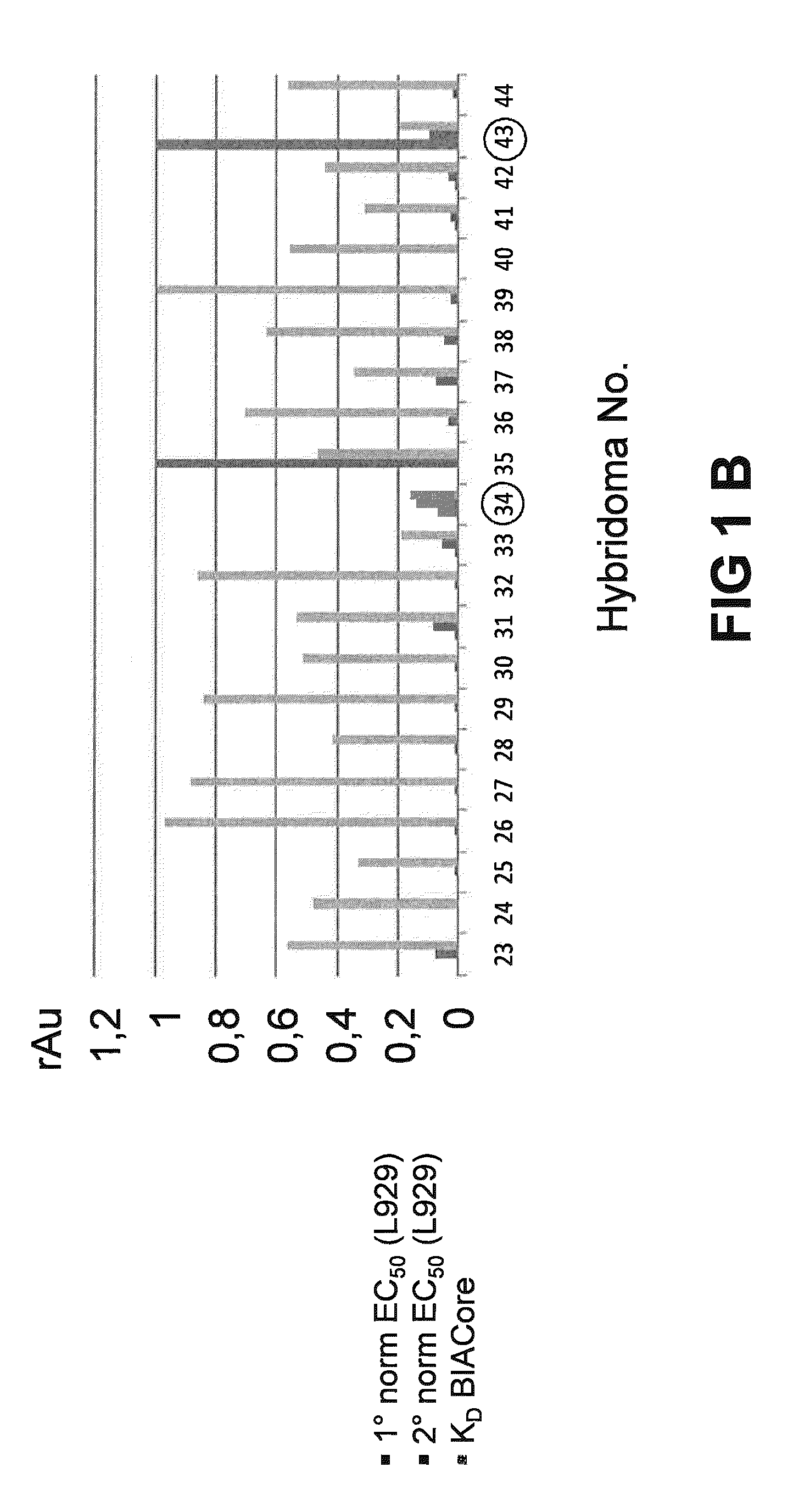 Stable and soluble antibodies inhibiting TNF alpha