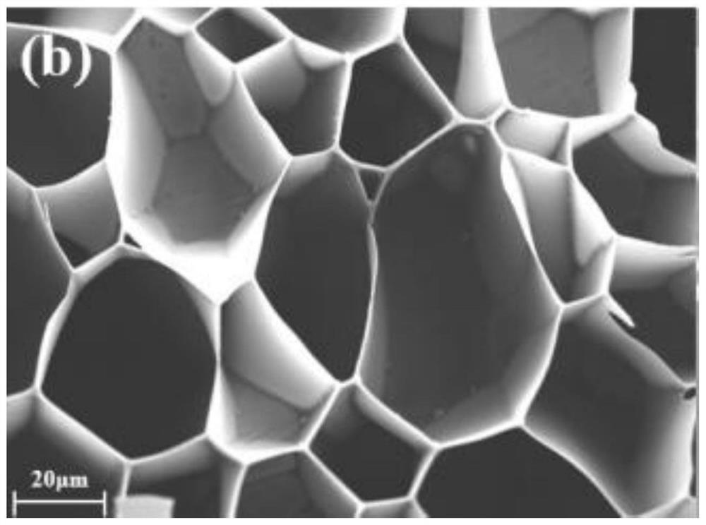 Preparation method of green heteroatom modified integrated biochar cathode