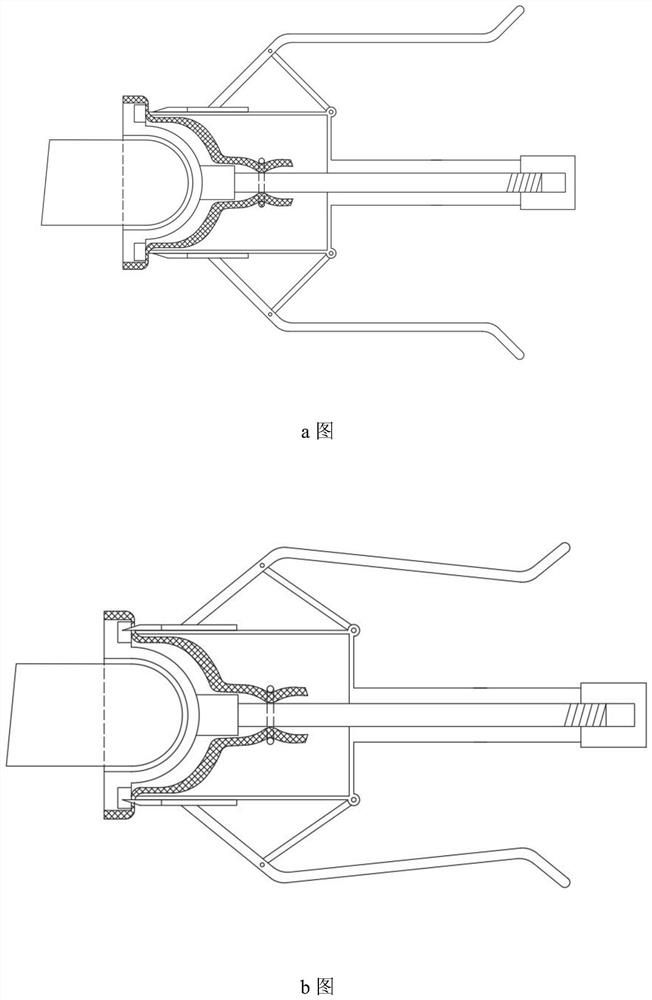 Prepuce shaping and cutting device