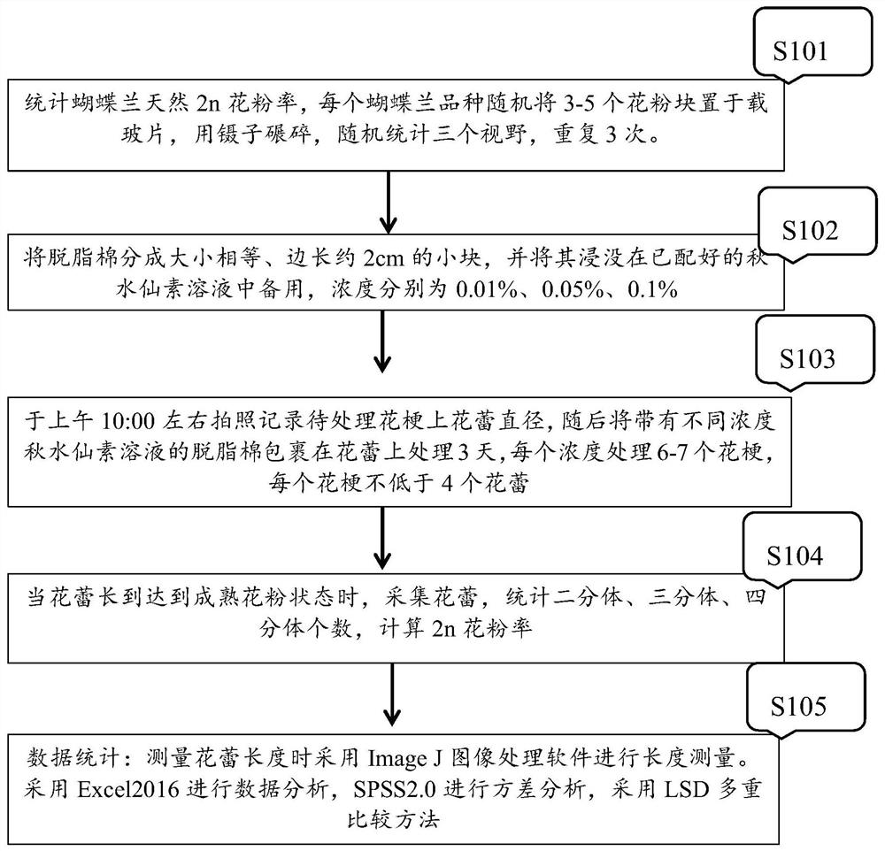 Opportunity and method for inducing 2n pollen of phalaenopsis amabilis