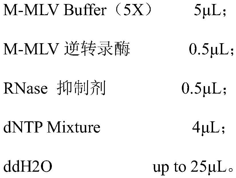 Tobacco nicotine metabolism related gene and application thereof