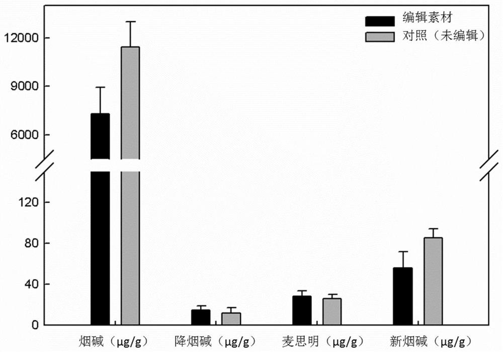 Tobacco nicotine metabolism related gene and application thereof