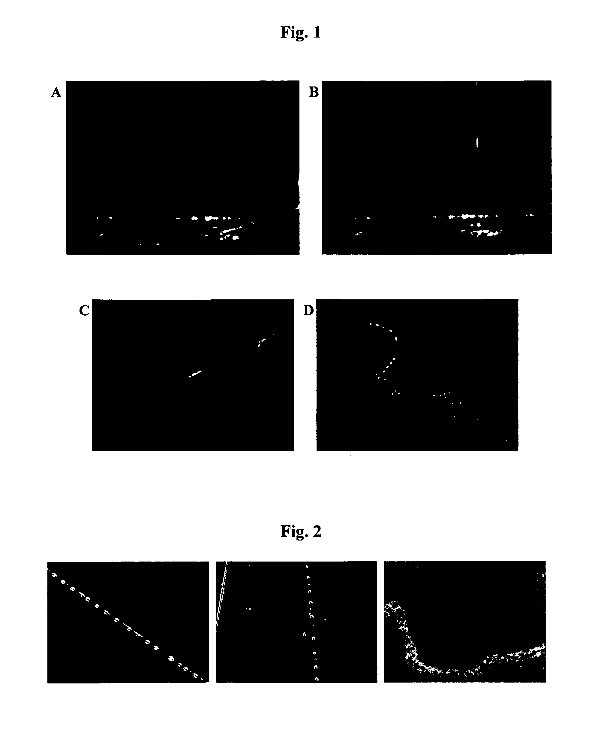 Method for production of polymer containing fibres