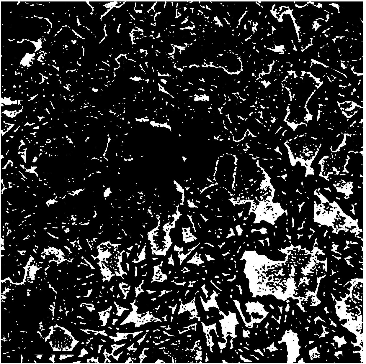 Nanometer hydroxyapatite dispersion body and preparation process thereof