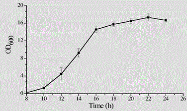 High-density fermentation technique of powdered pichia pastoris