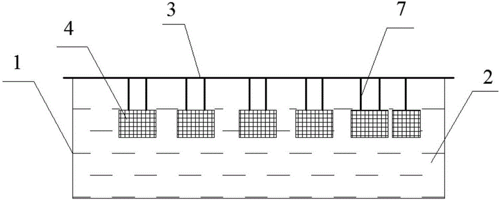 Self-circulation peneid culture system