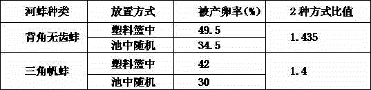 Rhodeus sinensis artificial propagation method