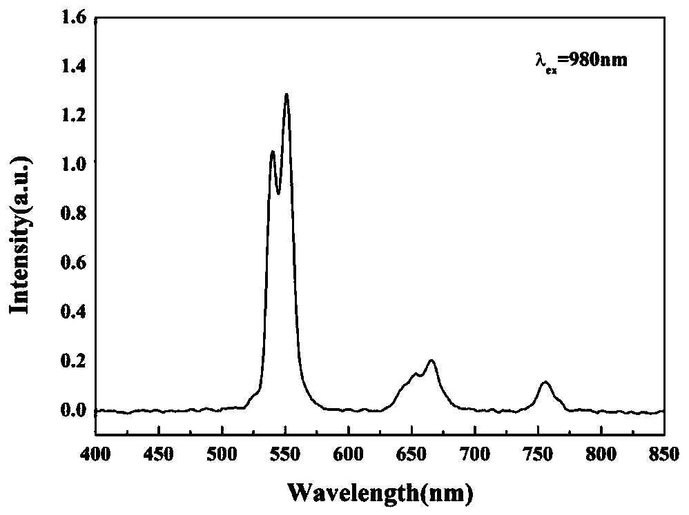 Preparation method of europium-doped strontium aluminate nanobelt with up-conversion luminescence property