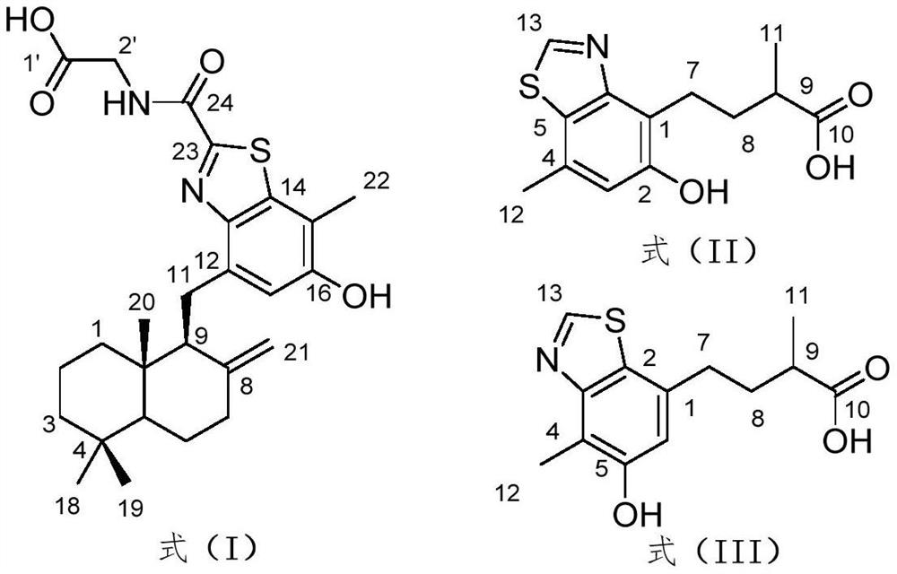 Benzothiazole meroterpenoid compounds and derivatives thereof, and preparation method and application thereof