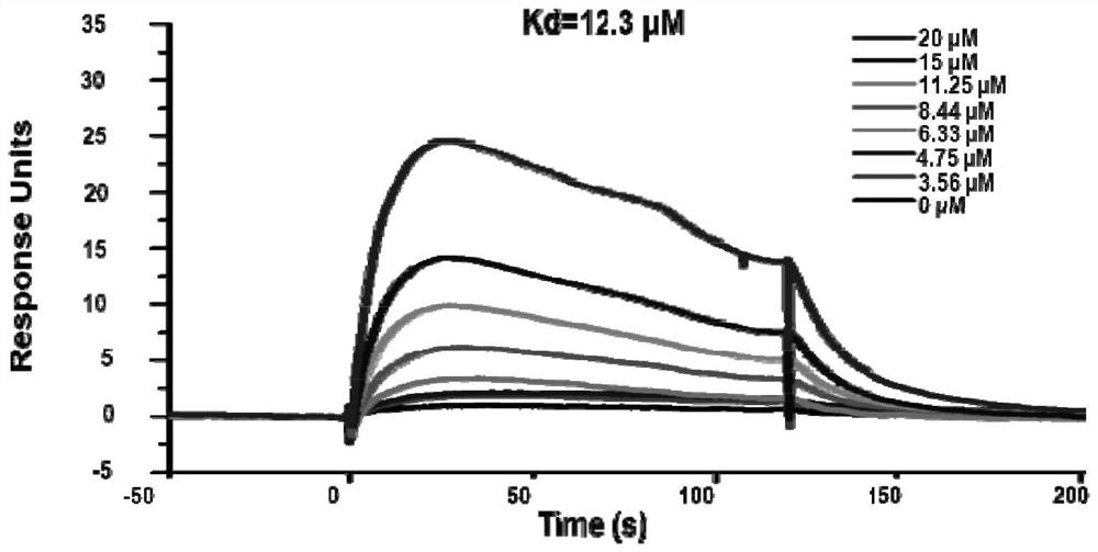 Benzothiazole meroterpenoid compounds and derivatives thereof, and preparation method and application thereof