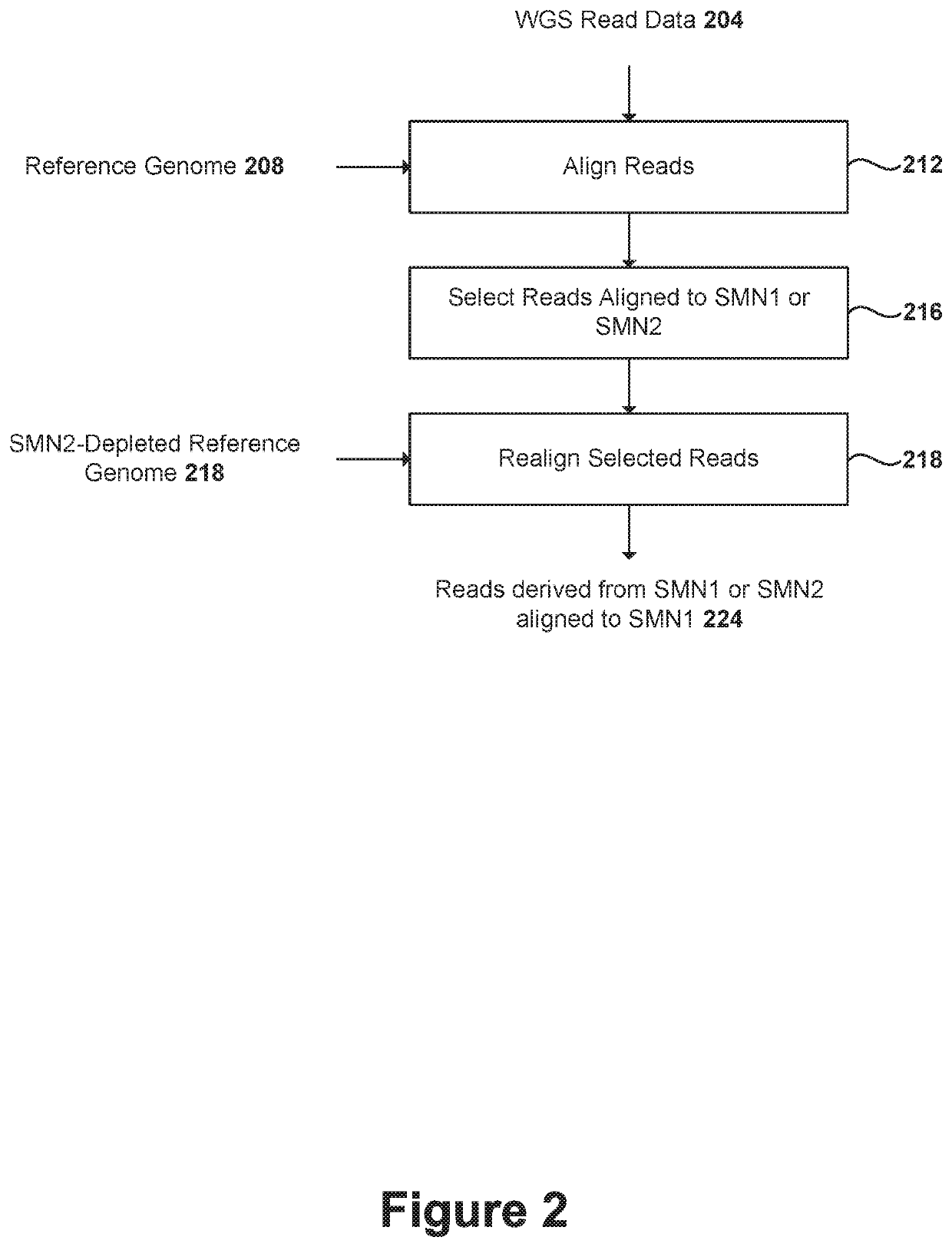 Methods and systems for determining paralogs