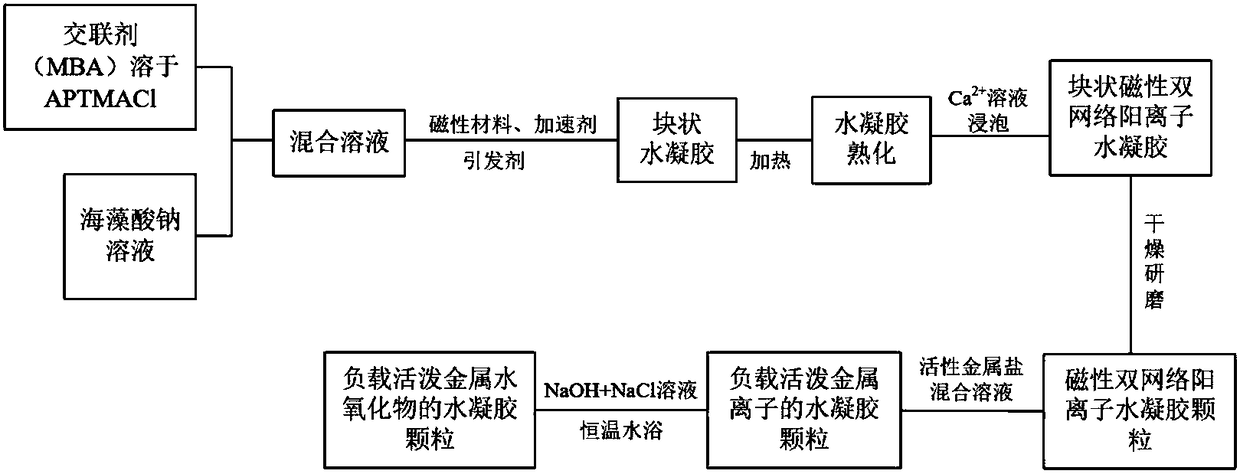 Preparation and application of magnetic dual-network kation hydrogel-based composite adsorbing material