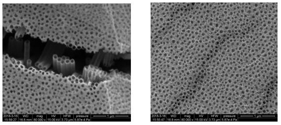 Based on tio  <sub>2</sub> Fabrication method and application of light-induced enhanced Raman substrate of /ag nanoarray