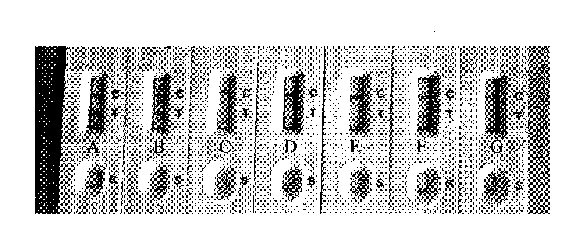 Clenbuterol matrix standard substance and preparation method thereof