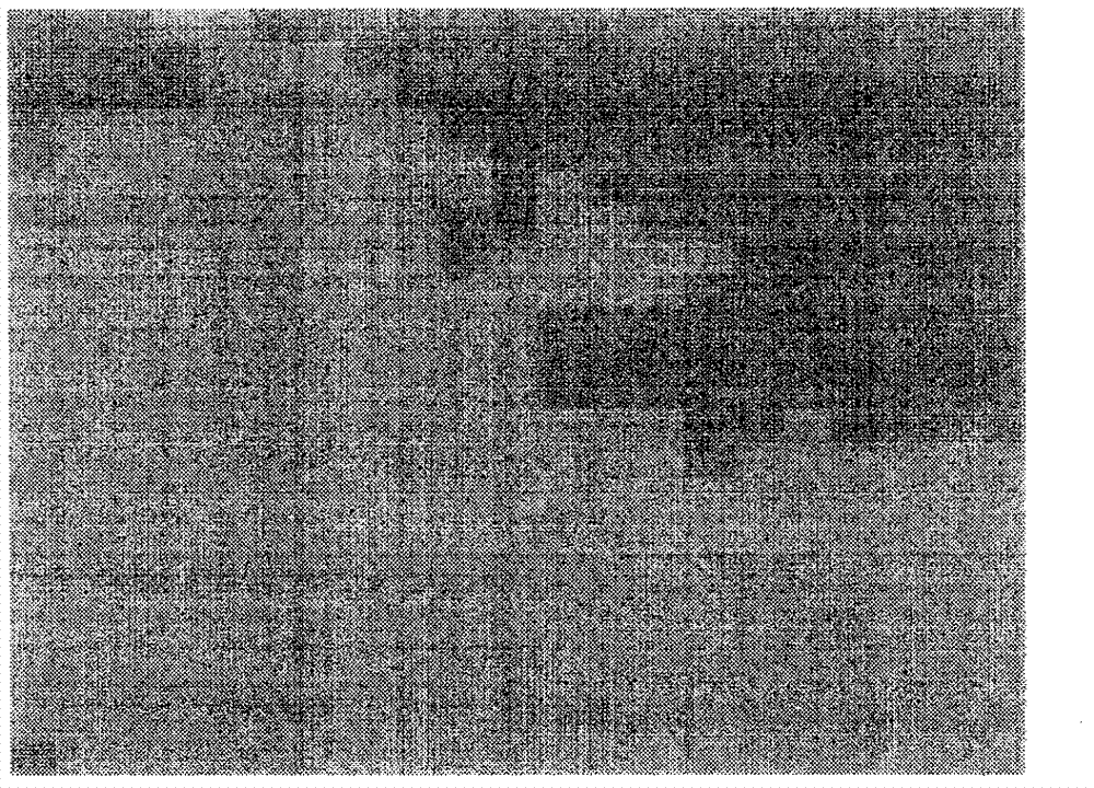 Finely crystalline iron-stibium fiber and pumice magnesium alloy composite material and preparation method thereof