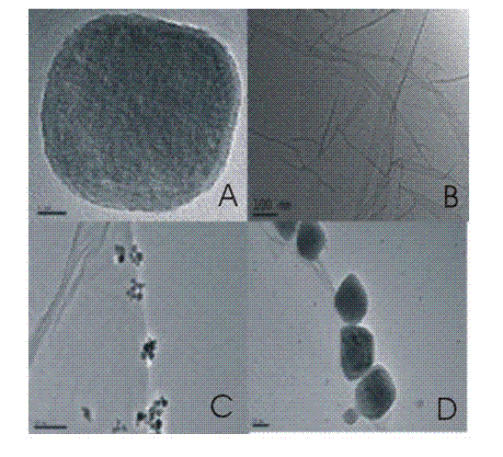 Preparation method and application of up-converted nano particle and graphene oxide composite material