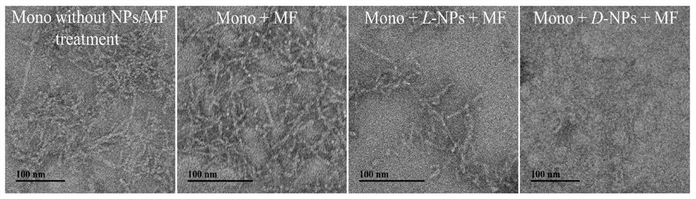 Chiral manganese oxide nanoparticles as well as preparation method and application thereof
