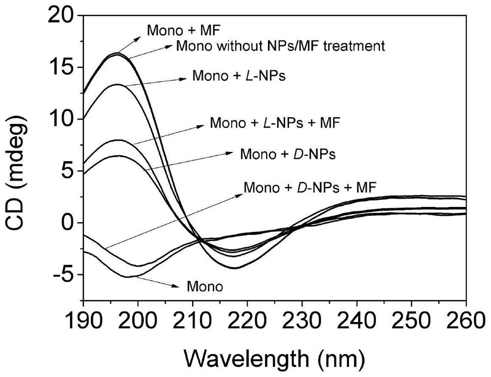 Chiral manganese oxide nanoparticles as well as preparation method and application thereof