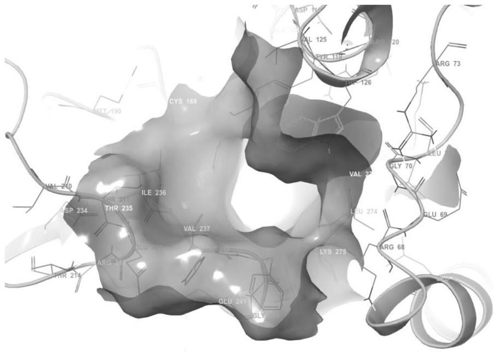 Application of an epigenetic factor inhibitor 40569z in the preparation of liver cancer drugs