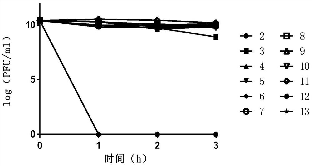 Vibrio alginolyticus bacteriophage with cross-species lysis capability, bacteriophage composition thereof and application of bacteriophage composition