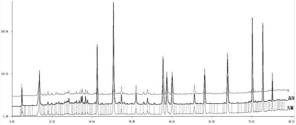 Processed rhubarb or/and raw rhubarb detection method