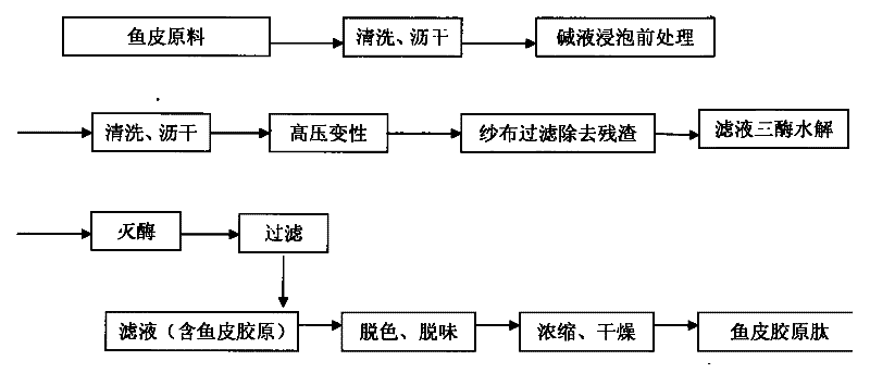 Fish skin collagen peptide with whitening effect and preparation process and application thereof