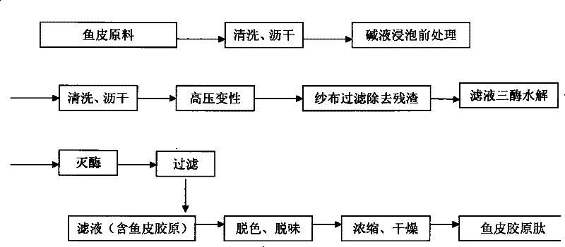 Fish skin collagen peptide with whitening effect and preparation process and application thereof