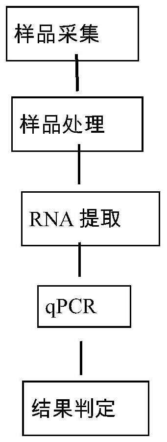 A Taqman real-time fluorescent PCR kit for detecting wild strains of porcine epidemic diarrhea virus in pig umbilical cord blood and its application