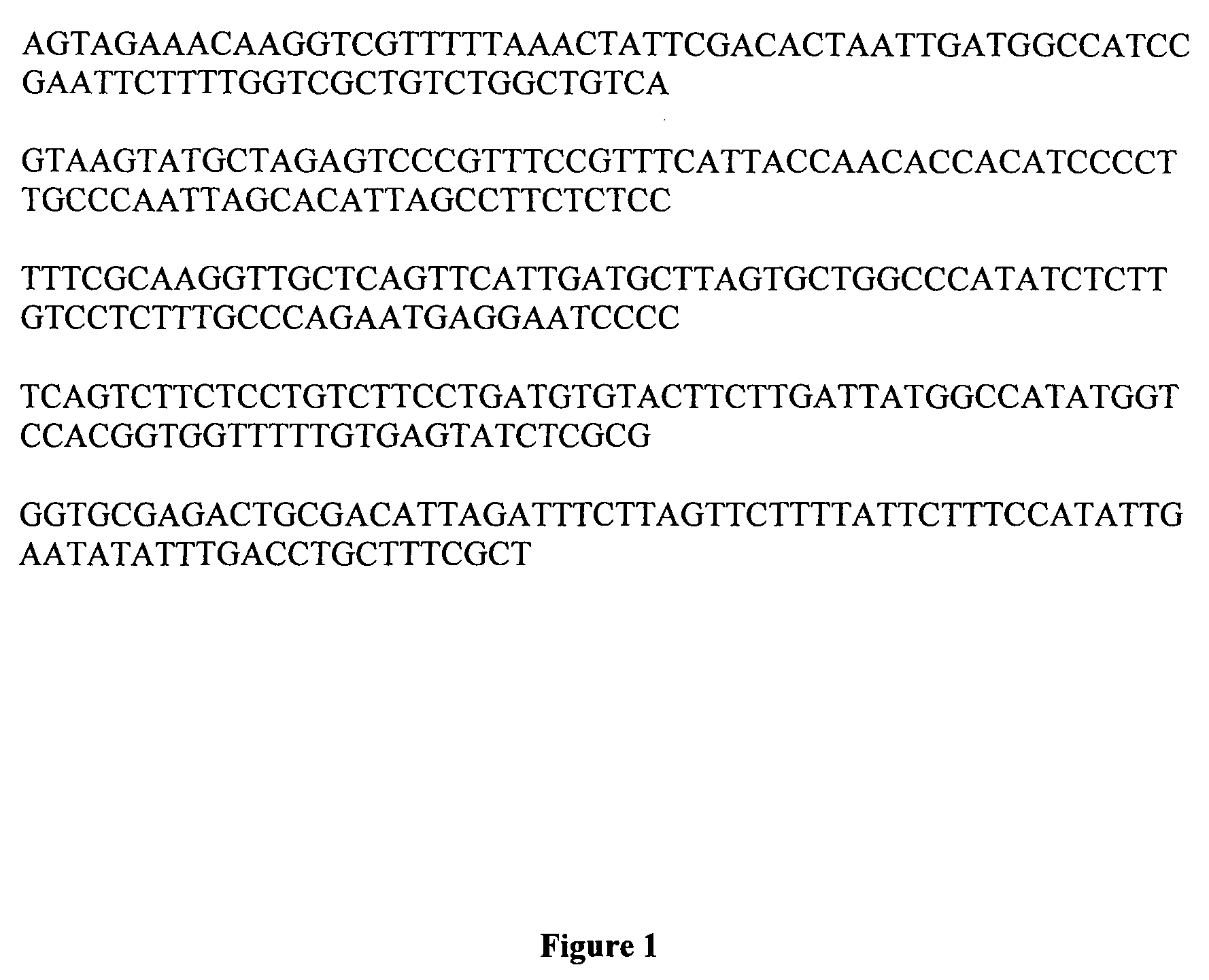 Cloned defective interfering influenza A virus