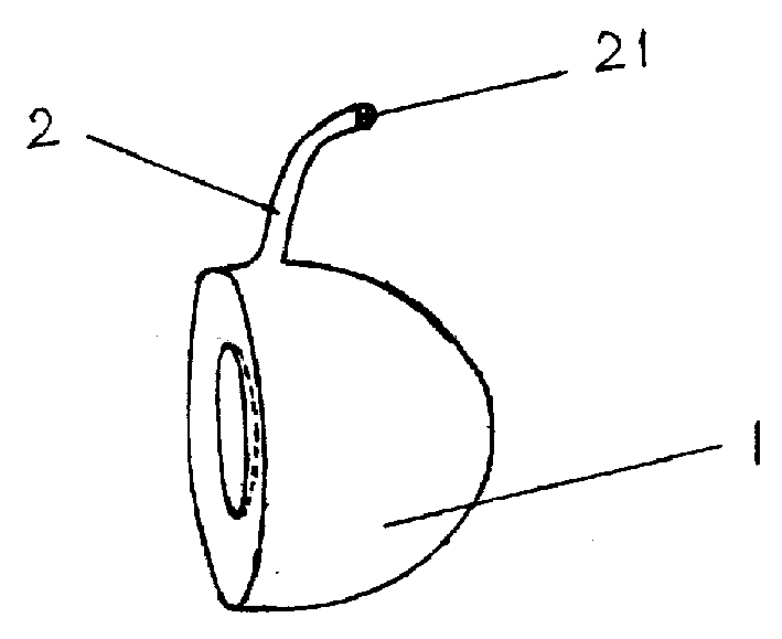 Bag type artificial vitreous body and its mfg method