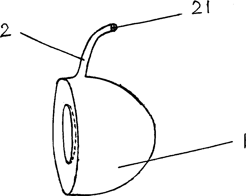 Bag type artificial vitreous body and its mfg method