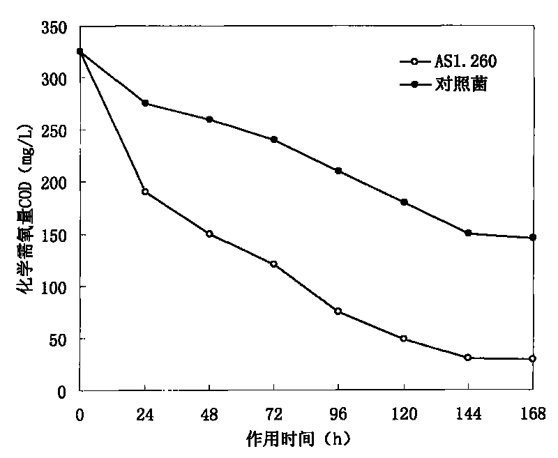 Method for preparing water purification agent for degrading nitrite and ammoniacal nitrogen in aquaculture water body