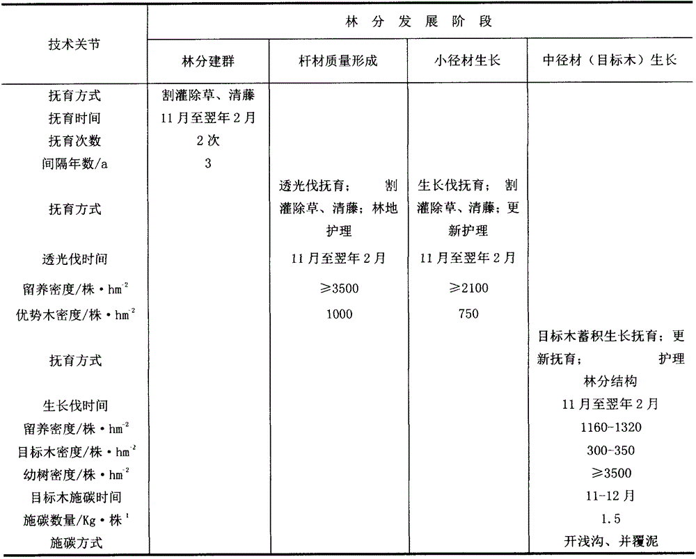 Early-wood-promoting cultivation method for schima superba forest