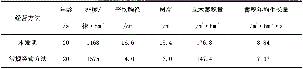 Early-wood-promoting cultivation method for schima superba forest