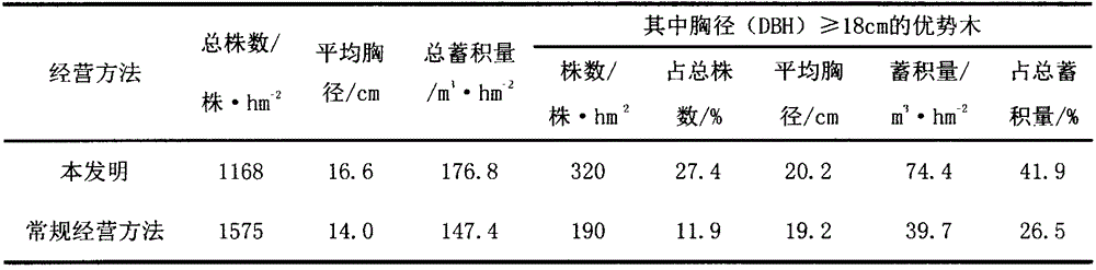 Early-wood-promoting cultivation method for schima superba forest