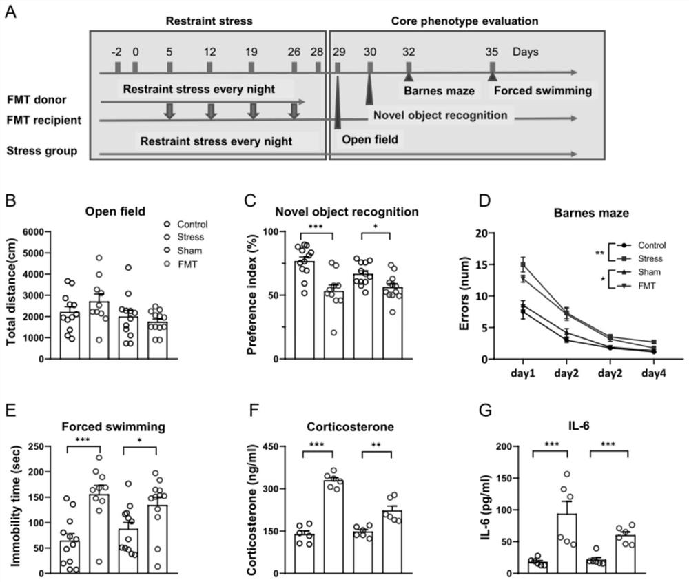 Vitamin B6 + probiotic mixture and application thereof in preparation of medicine for relieving stress-related secondary injury and aseptic inflammation